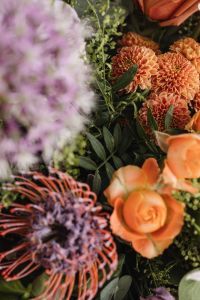 Kaboompics - Orange Chrysanthemums and Peach Roses in Botanical Detail
