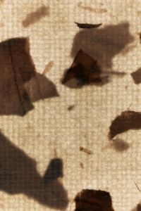 Kaboompics - Organic Paper Texture Background