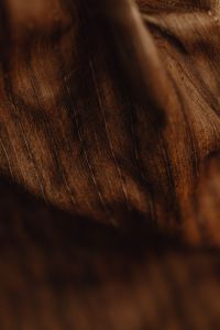 Kaboompics - Dried Banana Leaf Detail with a Dark Foreground Shadow