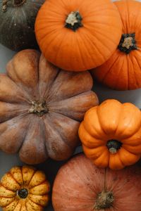 Kaboompics - Close-Up Mixed Pumpkins on a Neutral Background