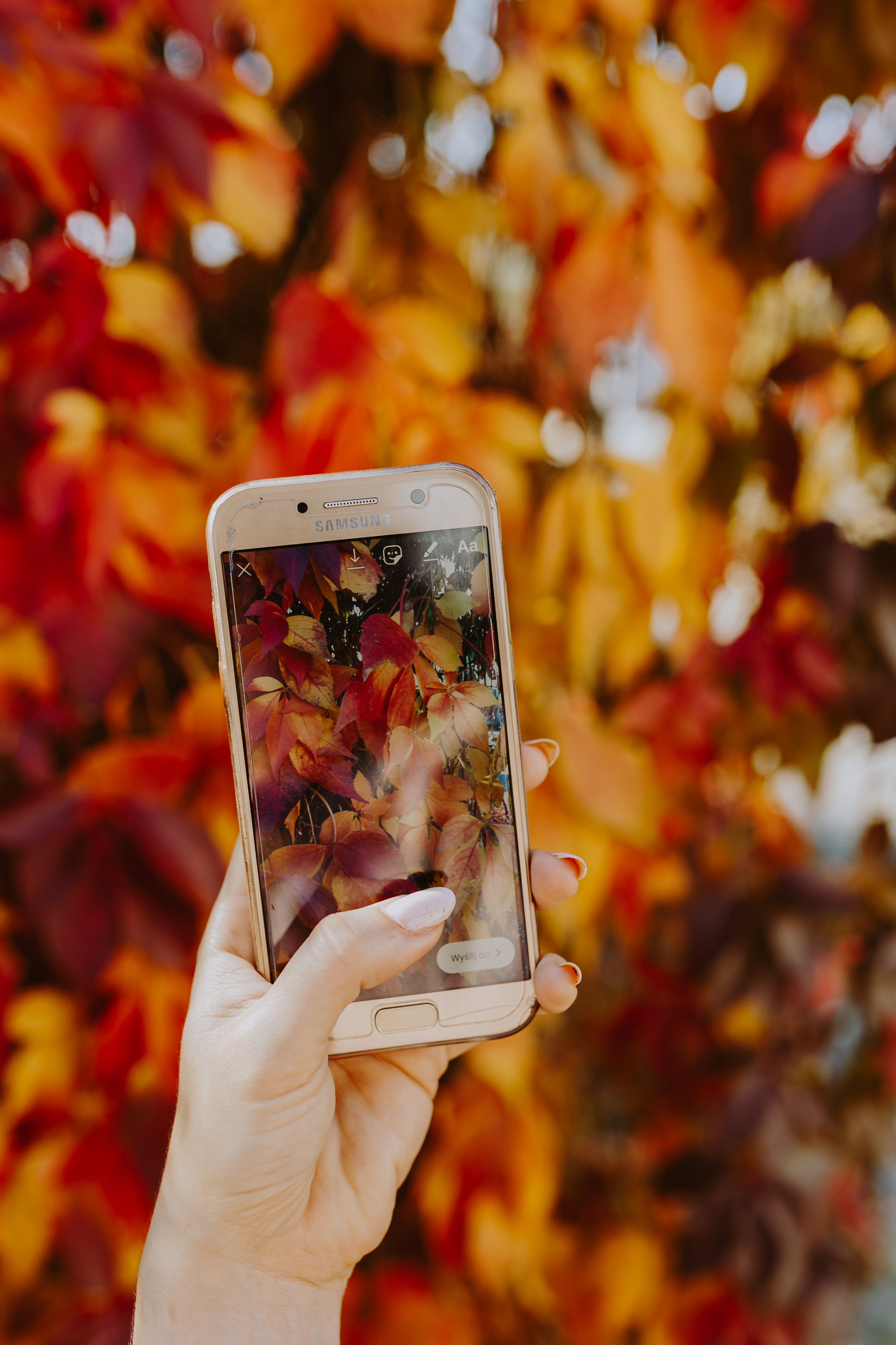 The woman takes a picture of the autumn leaves with her phone