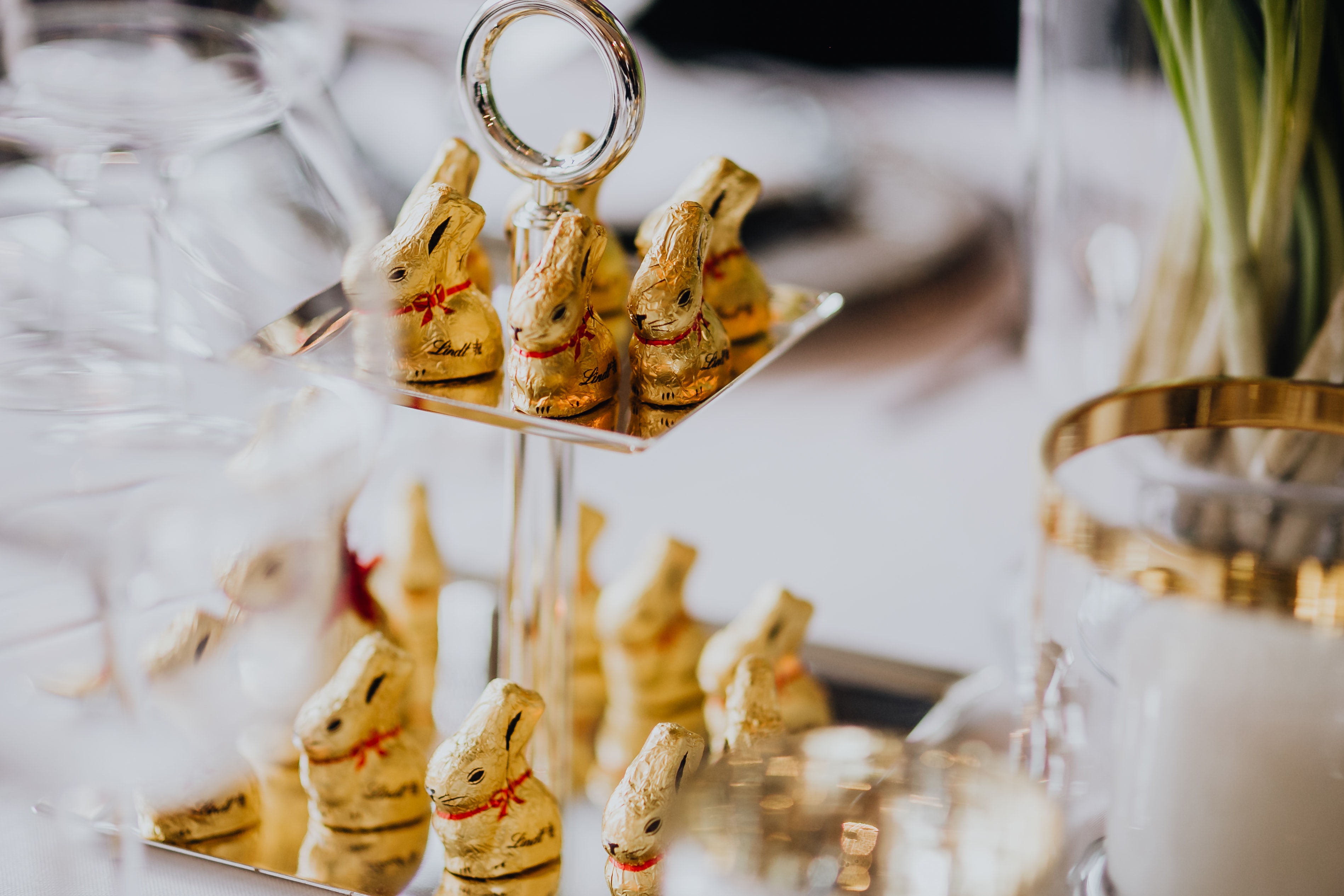 Golden Bunnies on the Tray