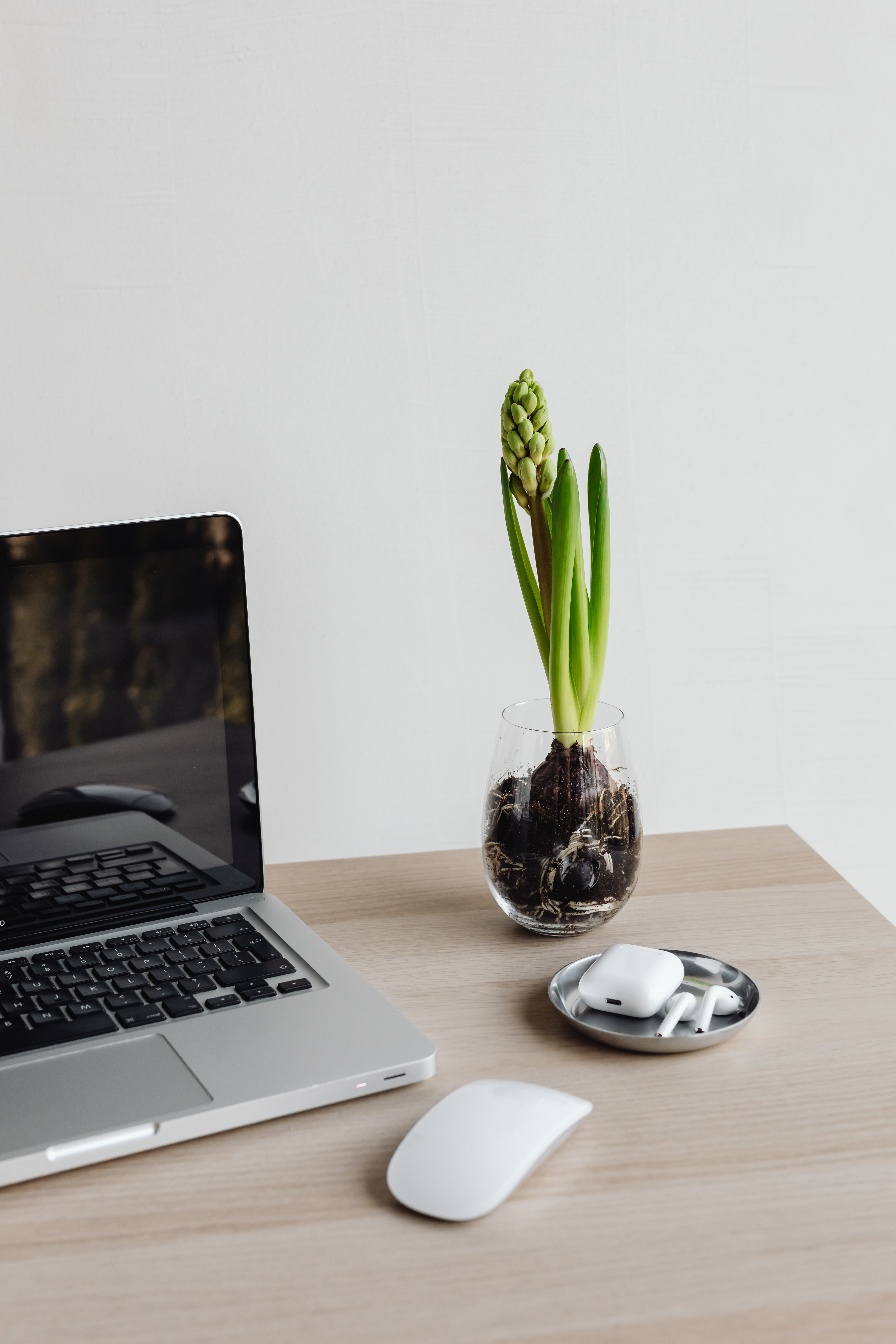 Laptop - computer - keyboard - AirPods - Earphones - Magic Mouse - Hyacinth Flower