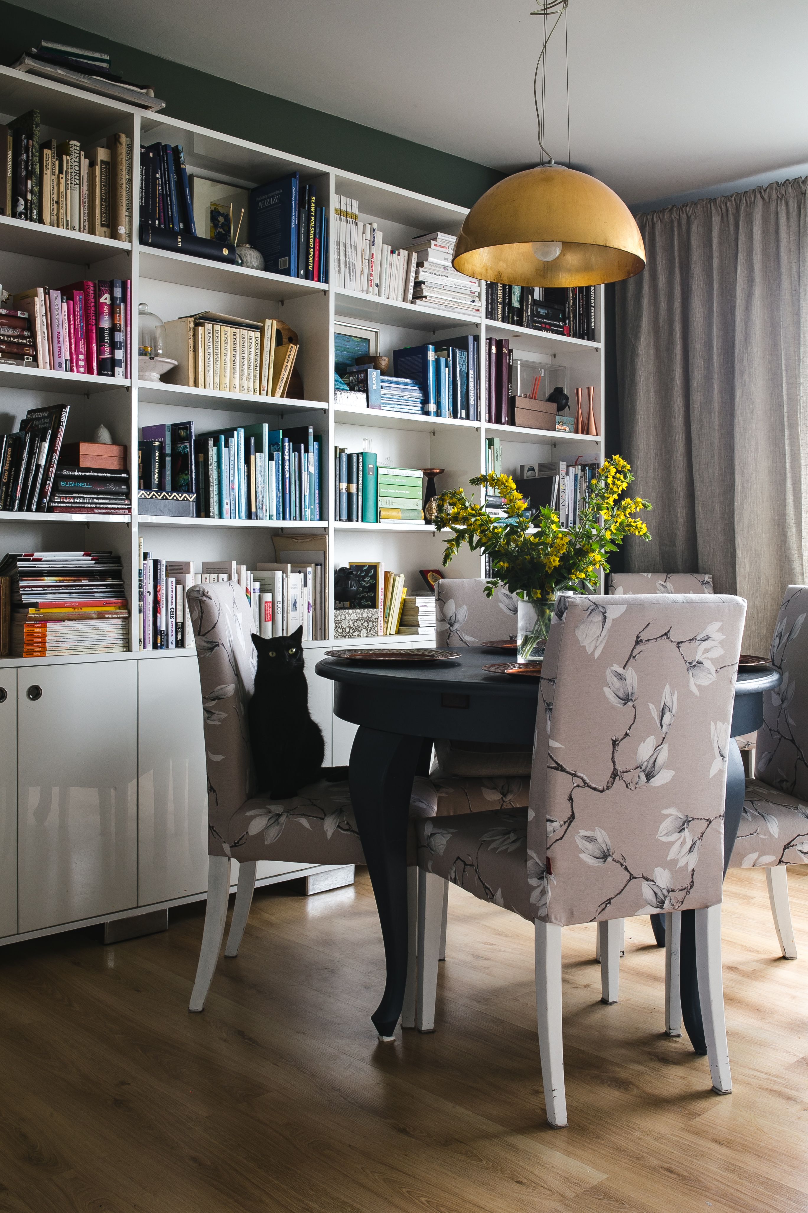 Home library and black cat on the chair